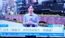 央视记者李茜文爆料新闻,重大新闻事件深度解析